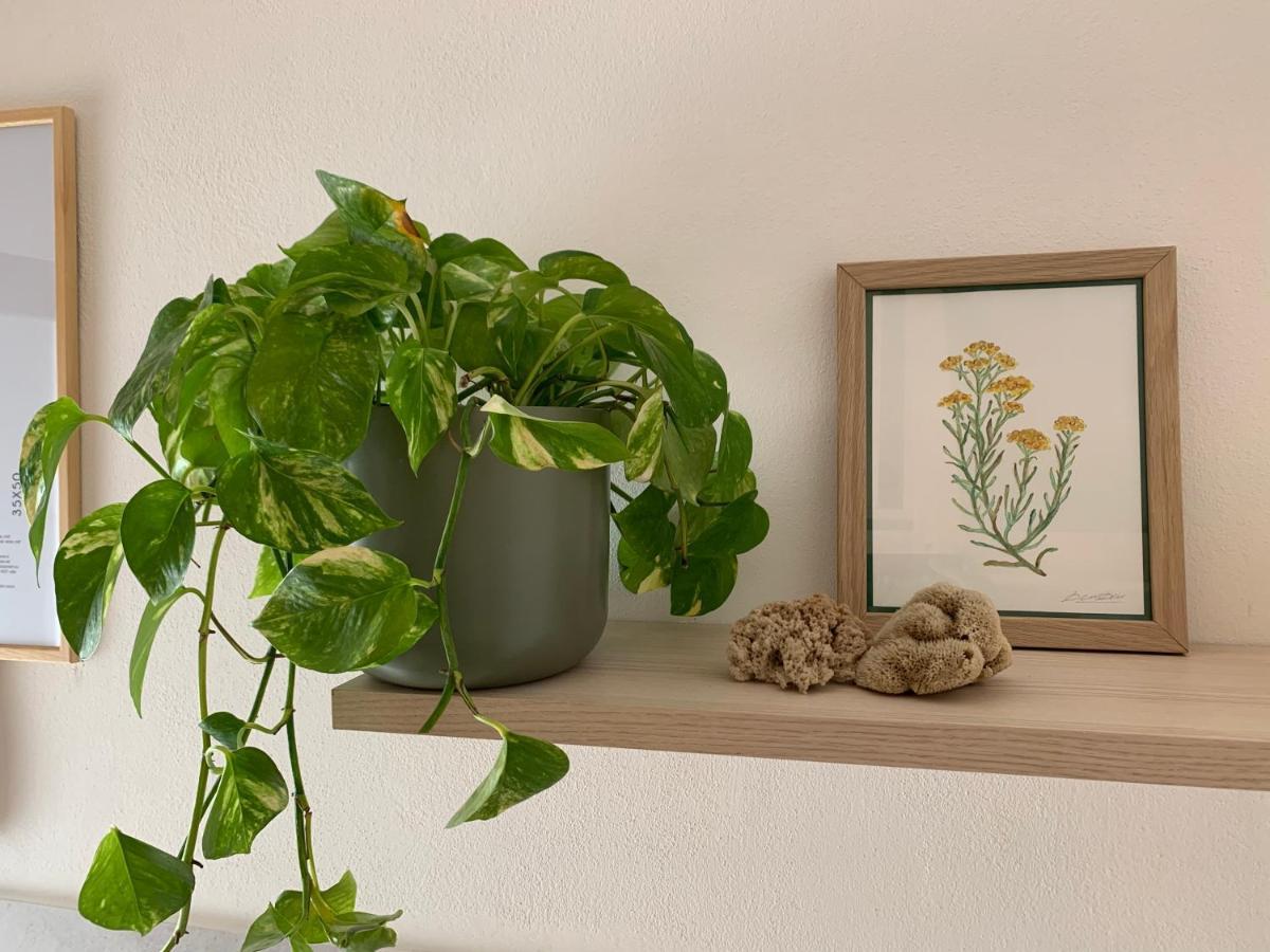 Elicriso Home Porto Torres Kültér fotó