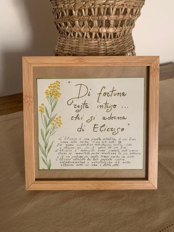 Elicriso Home Porto Torres Kültér fotó
